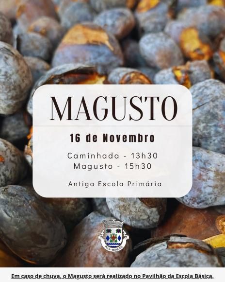 Magusto - 16 de novembro